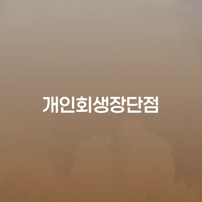 개인파산기간 개인회생,개인파산으로 잘 하는 법무법인