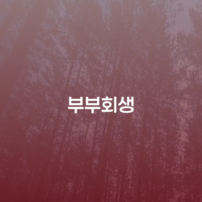 사업자개인회생 개인회생 해결할 수 있을까?