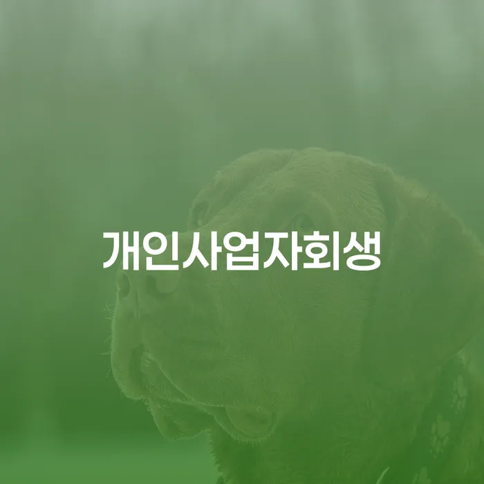 3인최저생계비 추심 대응법 무료상담