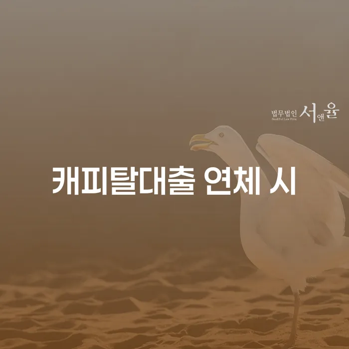 개인회생방법 빚 합법적인 빠른방법 단점을