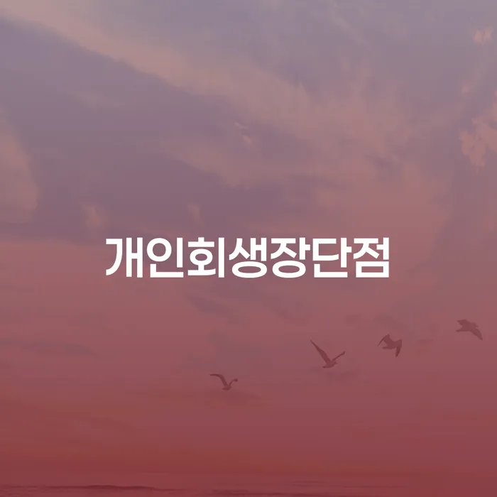 개인회생 법무사 비용 무이자 자체 분납 가능하고 개인회생 제도 상세히알기