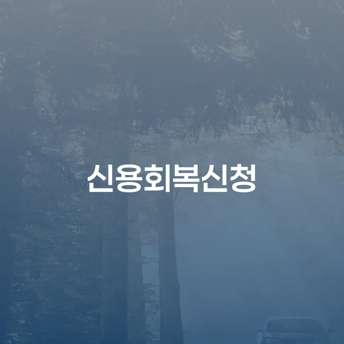 개인회생과정 개인회생 성공하려면