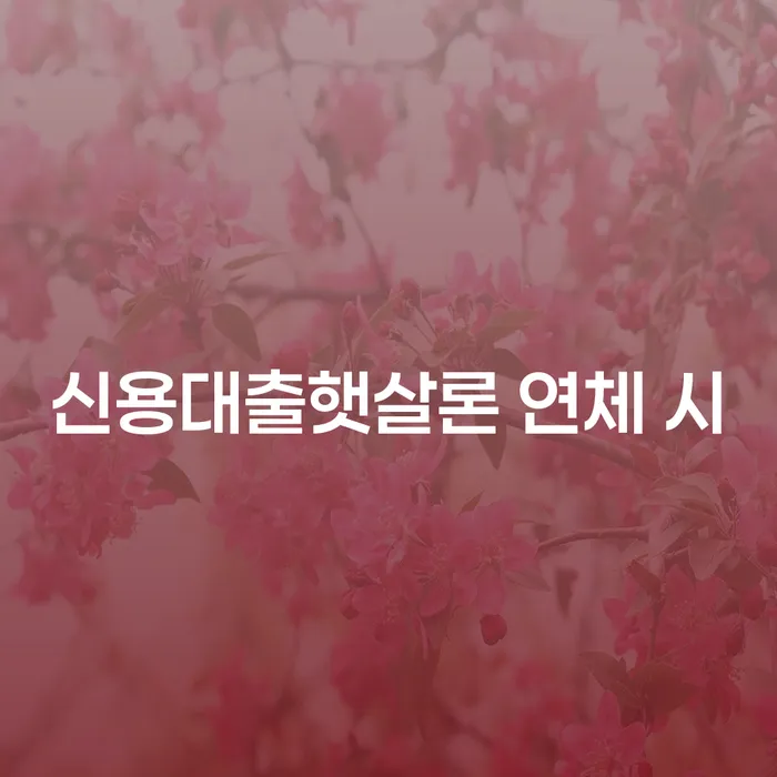 도산전문변호사 개인회생 확인해요