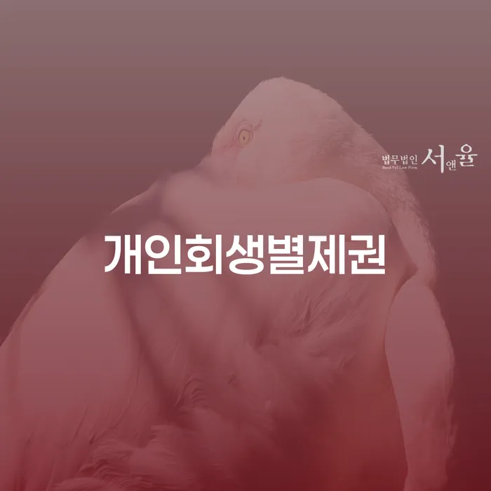 완주군 개인회생파산 개인회생 확인 하고 진행