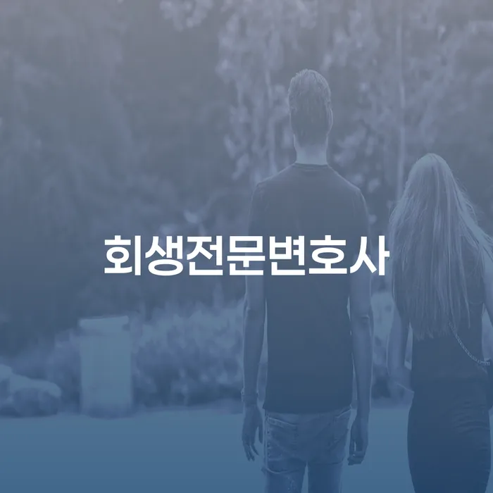 무주군 카드론연체 개인회생 제도 어떻게 진행되는지