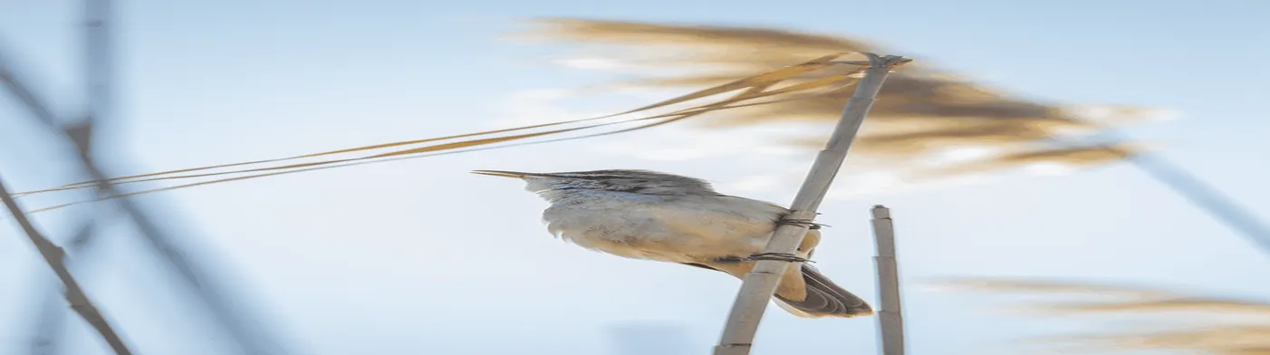 법무법인 서앤율