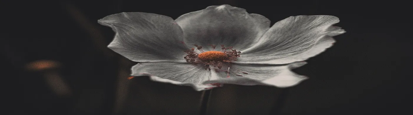 법무법인 서앤율