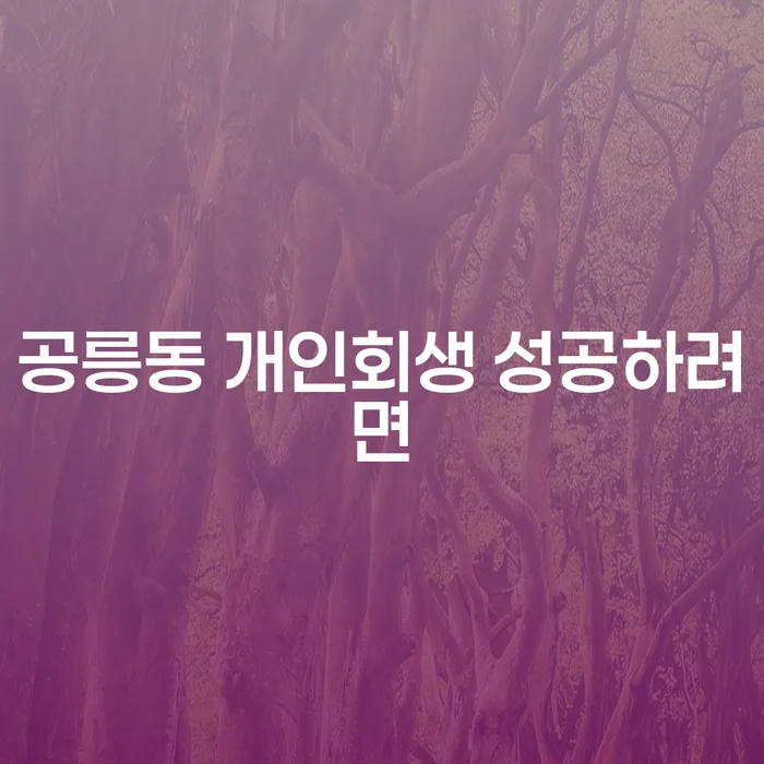 공릉동 개인회생 성공하려면