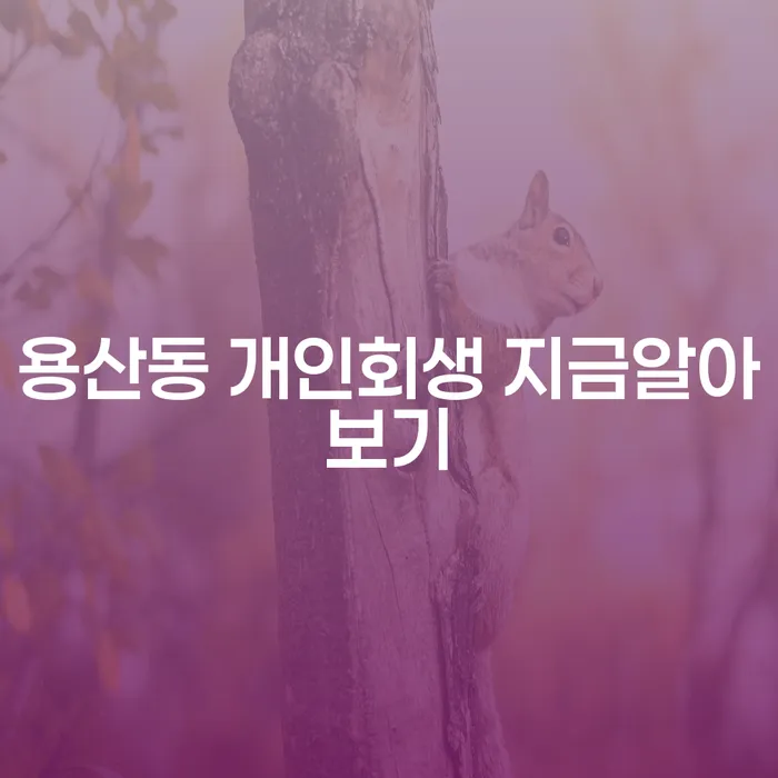 용산동 개인회생 지금알아보기