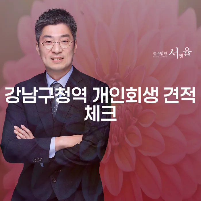강남구청역 개인회생 견적체크