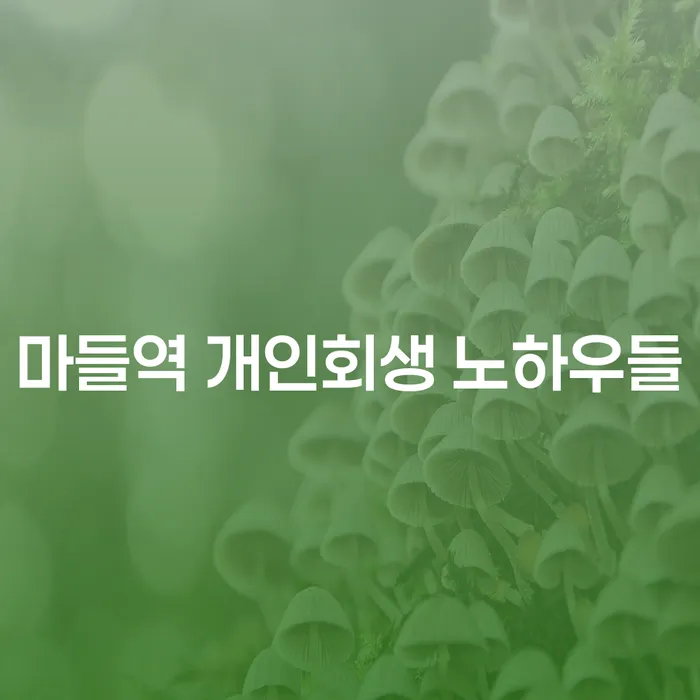 마들역 개인회생 노하우들