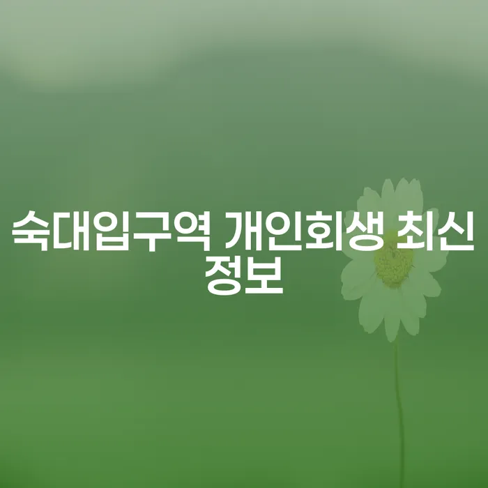 숙대입구역 개인회생 최신정보
