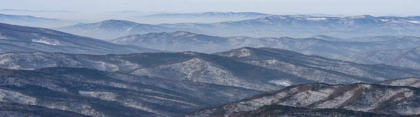 법무법인 서앤율