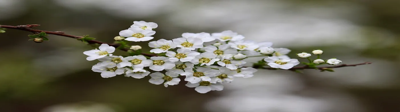 법무법인 서앤율