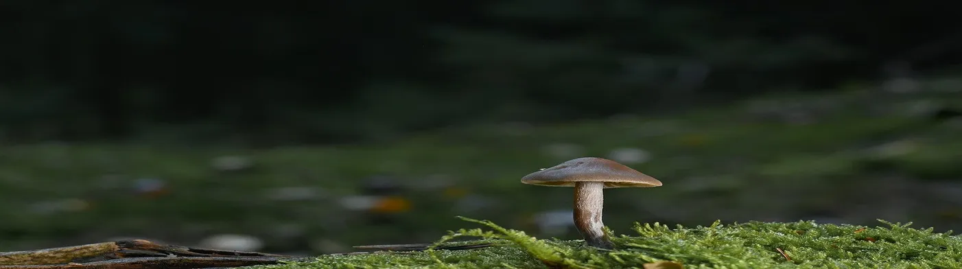 법무법인 서앤율