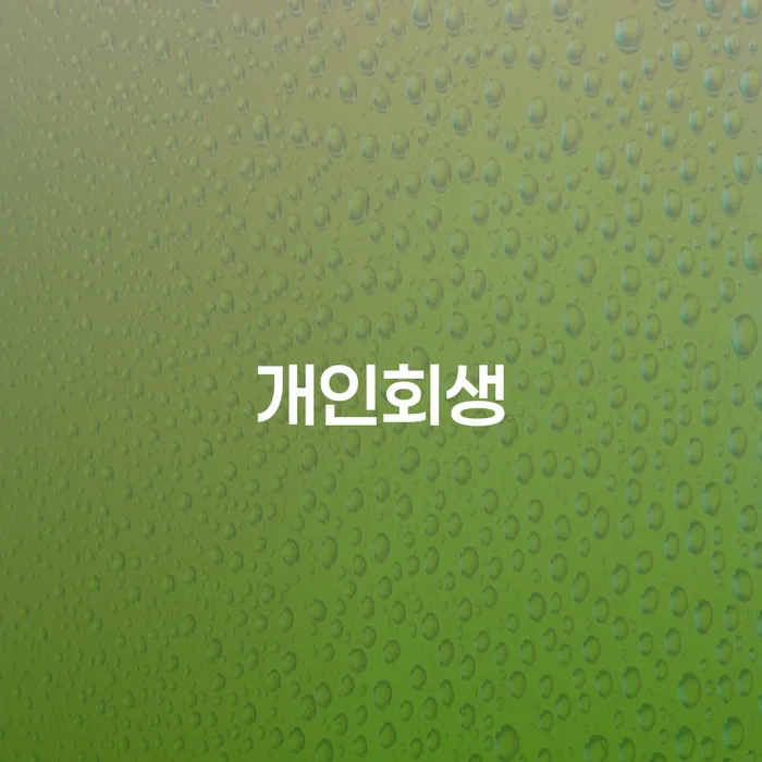 망원동 개인회생을 통한 채무 해결의 첫걸음