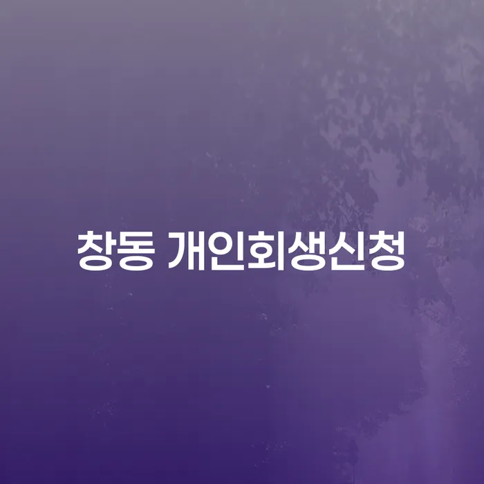 창동 개인회생신청, 당신에게 적합한 선택일까요?