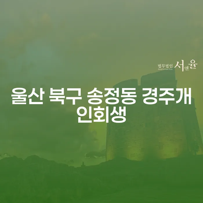 울산 북구 송정동 경주개인회생, 카드론연체 해결할 방법은?