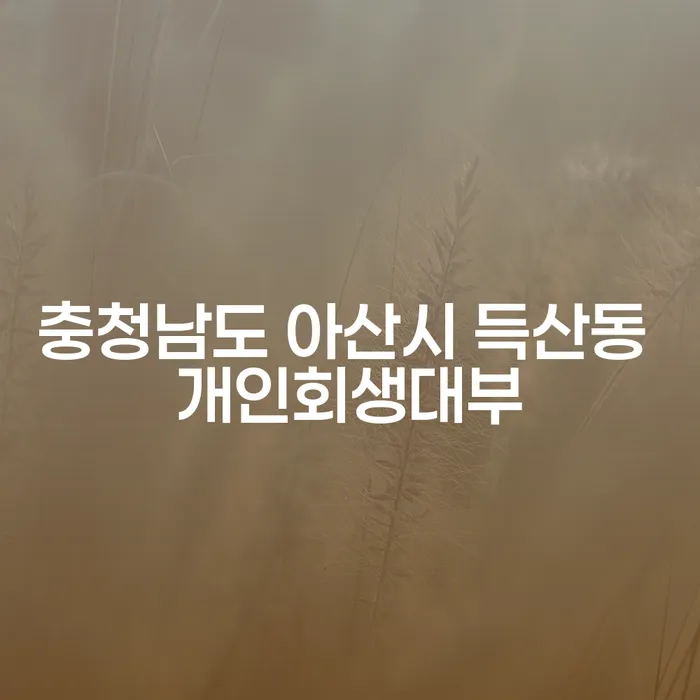 충청남도 아산시 득산동 개인회생대부를 통한 채무 해결, 진정한 재기의 시작인가요?